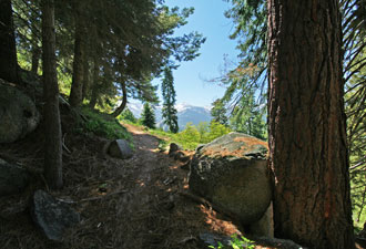 Sequoia National Park